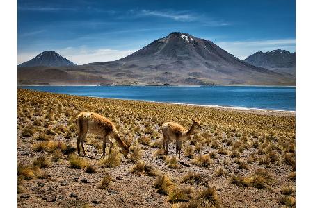 Wer Sonne und viel Ruhe braucht, sollte sich Calama in Chile ansehen. Viel ist dort nicht los, denn Calama liegt inmitten de...