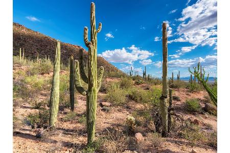 Yuma in Arizona ist mit maximal 13 Sonnenstunden pro Tag, aber rund 340 Sonnentagen im Jahr der sonnenreichste Ort der Erde!...