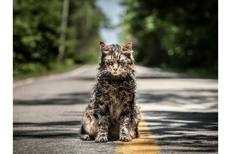 Hollywood hat sich auch für das Filmjahr 2019 wieder bei einigen bekannten Autoren bedient und bringt Bestseller auf die gro...