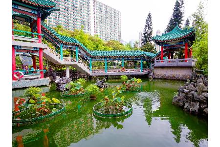 Abschalten in der Gartenanlage des Wong-Tai-Sin-Tempels. Inmitten der hektischen und vollen Stadt gelegen, ist dieser Ort ei...