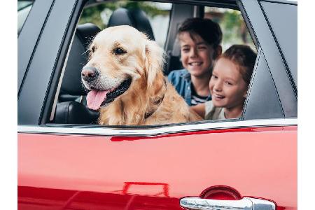 Im Sommer kann sich das Auto schnell in einen Backofen verwandeln. Doch es gibt Abhilfe: Mit diesen Tipps lässt sich die Hit...