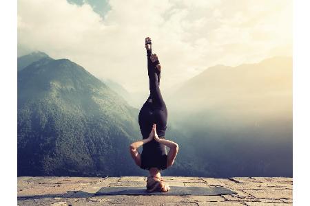 Yoga ist nicht gleich Yoga - moderne Formen sorgen für viel Abwechslung und Spaß. Zum Weltyogatag 2019 zeigen wir die verrüc...