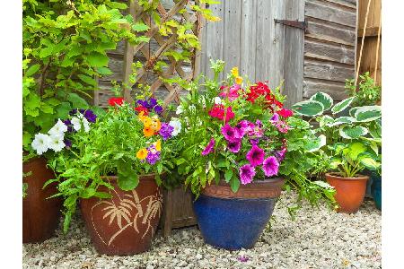 Wer seine Geschenke lieber draußen versteckt, ist mit Blumentöpfen gut beraten. Vor allem wenn alles schon blüht, fallen die...