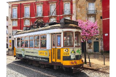 Alle lieben Lissabon! So zumindest scheint es bereits 2018 gewesen zu sein, als die portugiesische Hauptstadt einen wahren T...