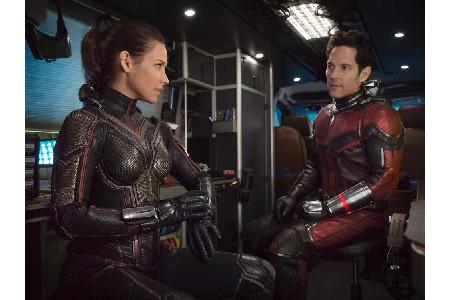 Hope van Dyne alias Wasp (Evangeline Lilly) wurde ebenfalls zu Staub.