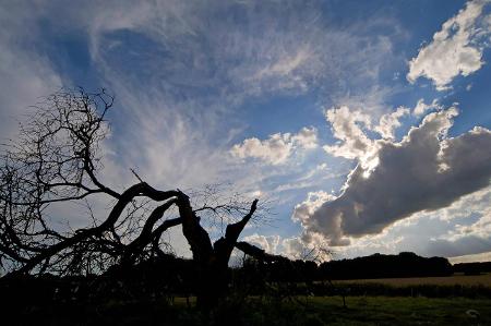 imago Blickwinkel.jpg