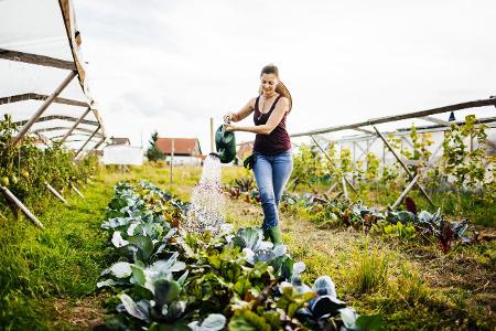 Tipps gegen Schnecken: gießen Sie jede Pflanze einzeln