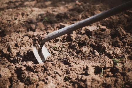 Tipps gegen Schnecken: Regelmäßige Bodenbearbeitung