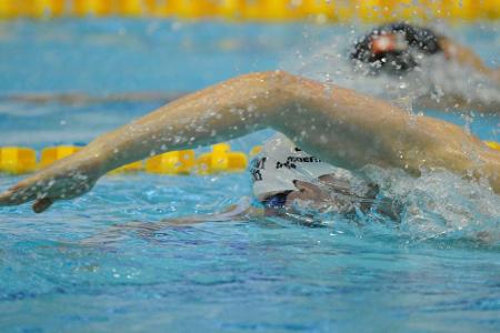 Schwimmen: Kurzbahn-DM im Dezember in Berlin