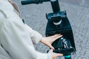 Tier nimmt Helm an Bord