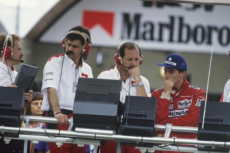 Ein Vermögen wert: Senna-Handschuhe für die Gartenarbeit!