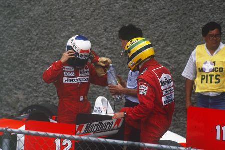 Ein Vermögen wert: Senna-Handschuhe für die Gartenarbeit!