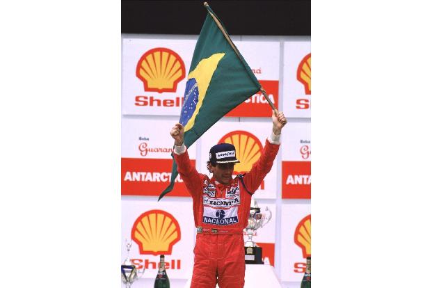 Ein Vermögen wert: Senna-Handschuhe für die Gartenarbeit!