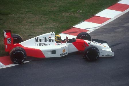 Ein Vermögen wert: Senna-Handschuhe für die Gartenarbeit!