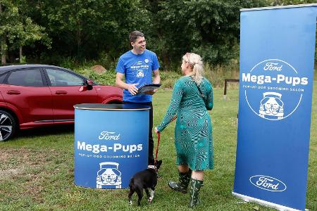 So badet man einen Hund im Ford Puma (2020)