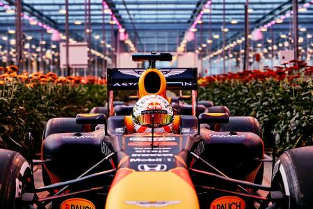 Backstage: Red-Bull-Filmtag in den Niederlanden mit Verstappen