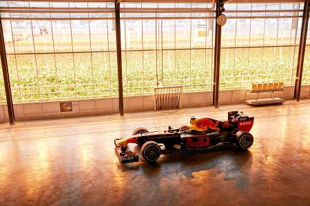 Backstage: Red-Bull-Filmtag in den Niederlanden mit Verstappen