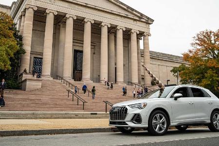 Qnicorn! Audi hat ein Q3-Einhorn für Halloween gebaut