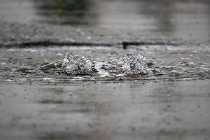 Die Aktivitäten am Samstag fallen komplett ins Wasser