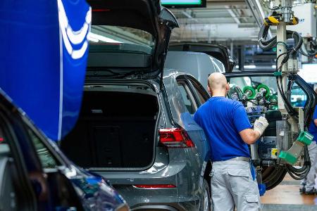 VW Golf 8 glänzt in Mega-Galerie mit mehr als 200 Bildern