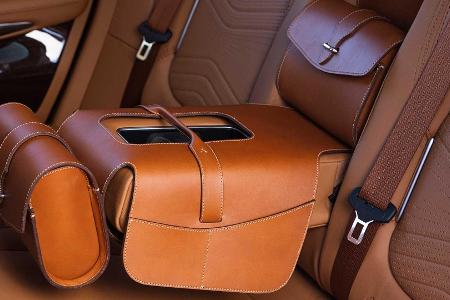 Aston Martin DBX: Zubehör für Hundefreunde