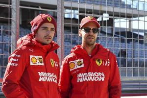 Charles Leclerc und Sebastian Vettel waren sich in Brasilien nicht ganz grün ...