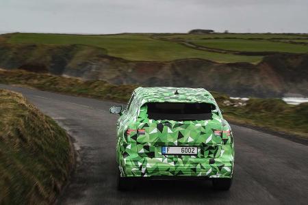 Skoda Enyaq iV: Offizielle Erlkönig-Bilder und Infos zum neuen Elektro-SUV