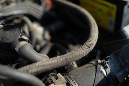 Peugeot 205 GTI: Werkseigene Wiederauferstehung