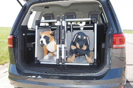 Hund im Auto unbedingt sichern: Der ADAC gibt Tipps