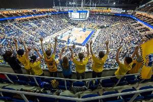 Zuschauerschnitt in der BBL bleibt stabil