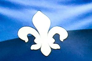 Darmstadt 98: Profi-Verträge für Quartett