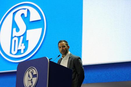 Schalke bestreitet Testspiel in Paderborn