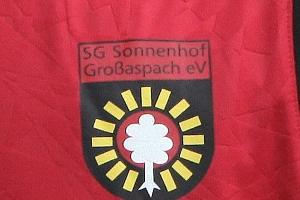 3. Liga: Hildmann neuer Trainer von Großaspach