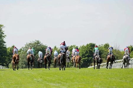Galopp: Hengst Windstoß gewinnt deutsches Derby in Hamburg
