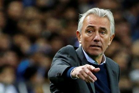 WM 2018: Aus für van Marwijk - Bauza neuer Trainer der Saudis