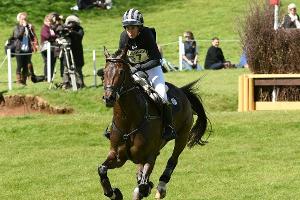 Vielseitigkeits-EM: Hoy stürzt im Gelände - Klimke ohne Fehler