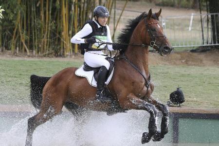 EM: Vielseitigkeits-Team verliert Führung - Klimke und Jung vorn