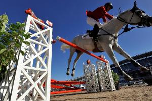 Vielseitigkeits-EM 2019 in Luhmühlen ab Ende August