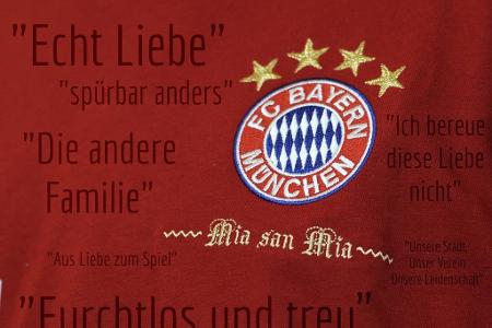 Ein Motto oder besser noch ein passender Slogan ist heute für den Bundesliga-Klub Pflicht. Doch wer nennt sich eigentlich 'D...