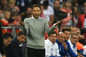 Schalke-Trainer Tedesco: "Matchplan ist keine Doktorarbeit"