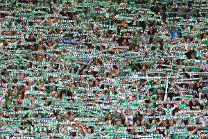 Wien-Profi schleuderte Flaschen gegen Moschee