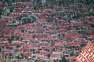 1. FC Köln wehrt sich gegen Hetze gegen den Fanbeauftragten Mendel