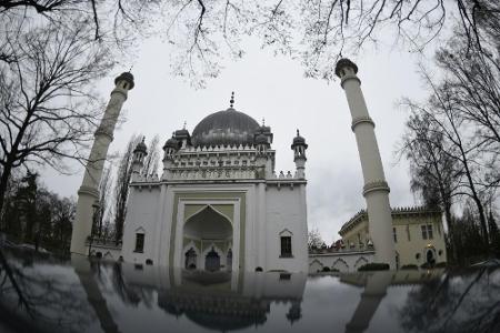 Drohungen gegen Rapid-Profi Ljubicic nach dessen Attacke auf Moschee
