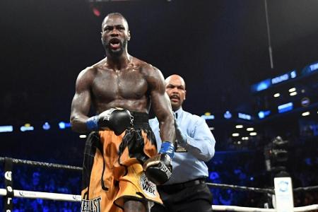 Boxer Wilder droht Ärger nach Interview: 