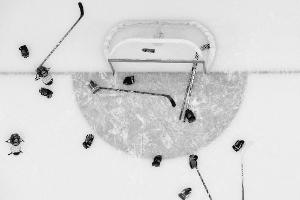 Unglück mit Teambus in Kanada: 15 Menschen getötet