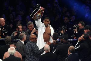 Boxen: Angebot für Fight zwischen Joshua und Wilder steht