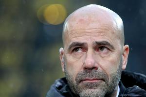 Missverständnis der Saison: Peter Bosz (Borussia Dortmund)