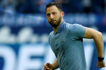 Entdeckung der Saison: Domenico Tedesco (Schalke 04)