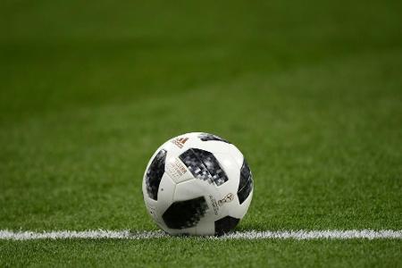 Distelrath neuer NFV-Vorsitzender