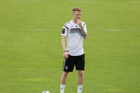 Löw lobt Reus in höchsten Tönen